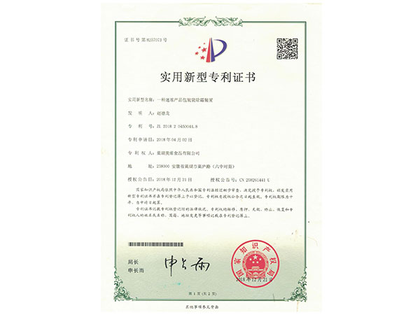 實(shí)用新型專利證書